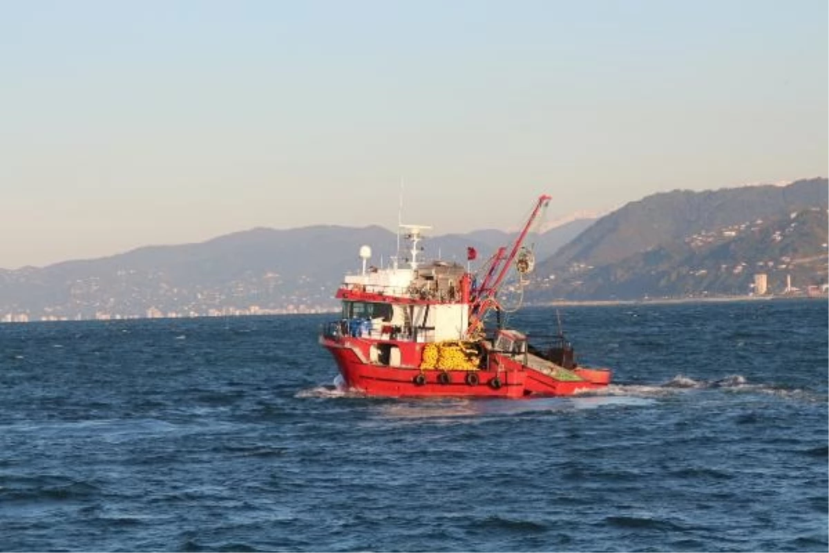 KTÜ Deniz Bilimleri ve Teknolojisi Enstitüsü Müdürü, Hamsi Avcılığının Tamamen Durdurulmasını Önerdi