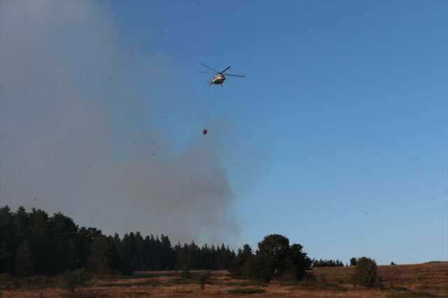 Tarım ve Orman Bakanlığından İzmir ve Bolu'daki orman yangınlarına ilişkin açıklama geldi