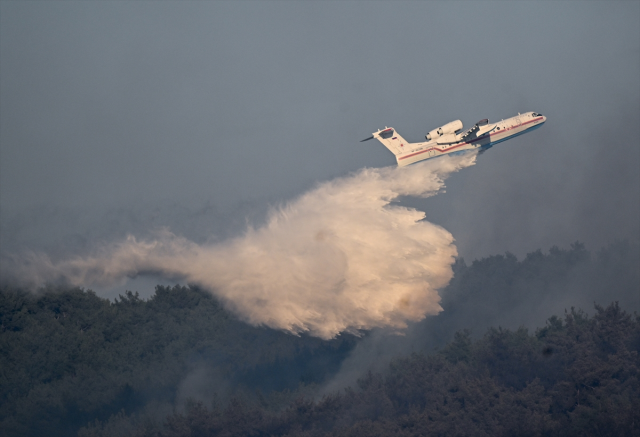 Tarım ve Orman Bakanlığından İzmir ve Bolu'daki orman yangınlarına ilişkin açıklama geldi
