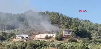 Turgutlu'da çıkan ot yangını ormana ve tavuk çiftliğine sıçramadan söndürüldü
