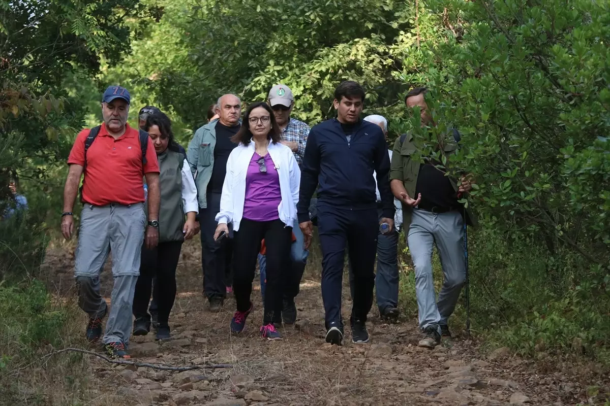 Yalova Valisi Hülya Kaya, doğa yürüyüşüne katıldı