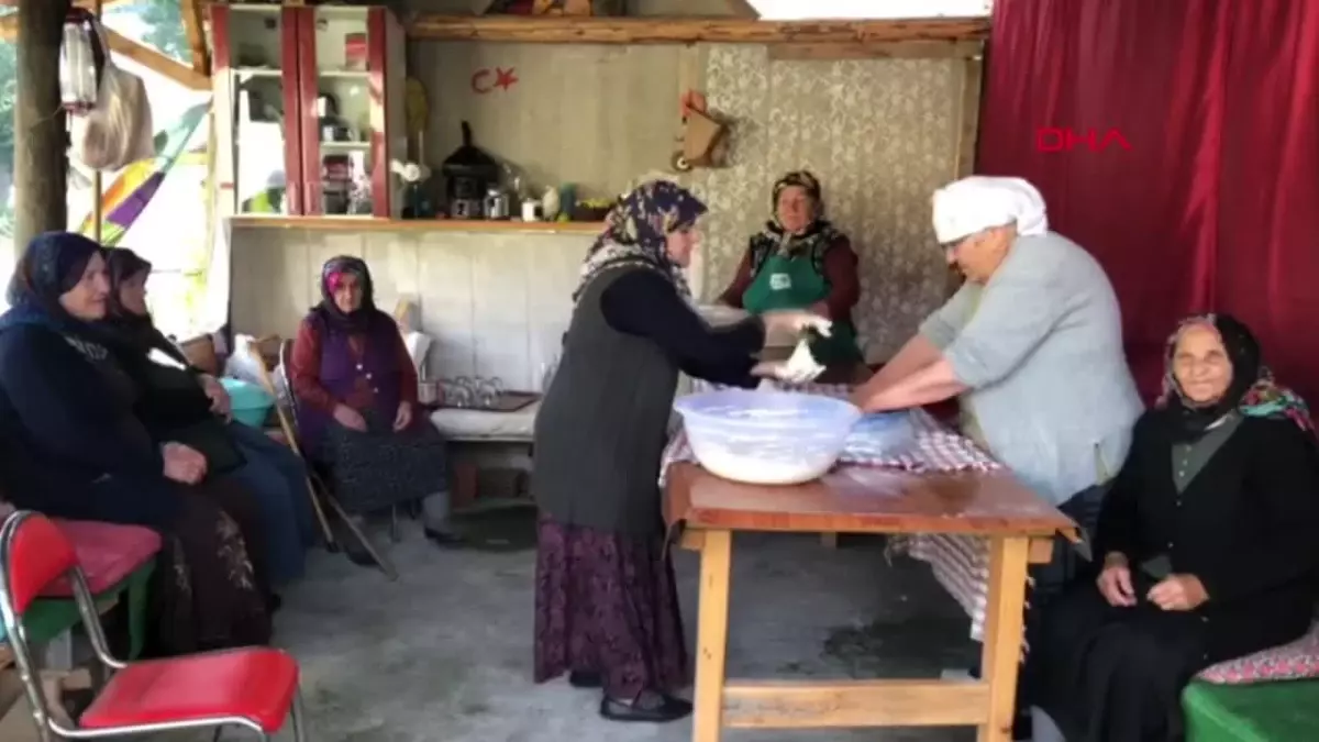 Artvin Şavşat\'ta Endemik Meyan Kökü ile Üretilen Bayatlamayan Somun Ekmek