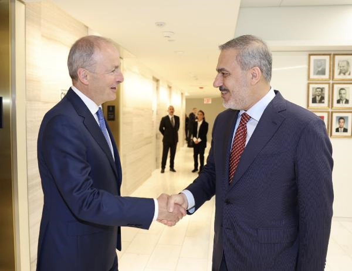 Dışişleri Bakanı Hakan Fidan, İrlanda Başbakan Yardımcısı ile görüştü