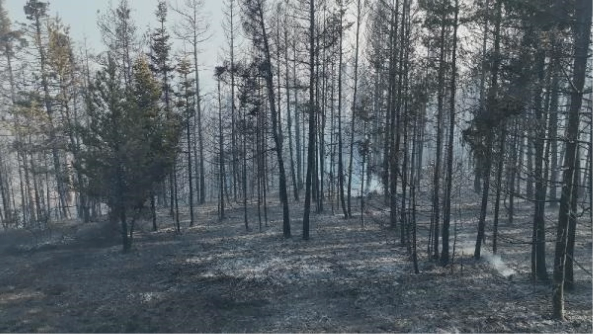 Gerede\'deki Orman Yangını 22,5 Saatte Kontrol Altına Alındı