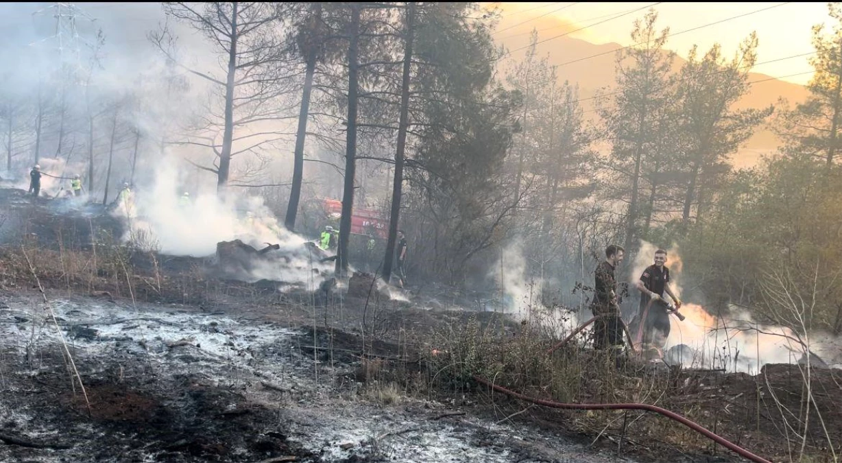 Bursa Kestel\'de Ormanlık Alanda Yangın Kontrol Altına Alındı
