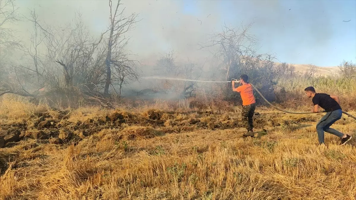 Çorum İskilip\'te Anız Yangını Kontrol Altına Alındı