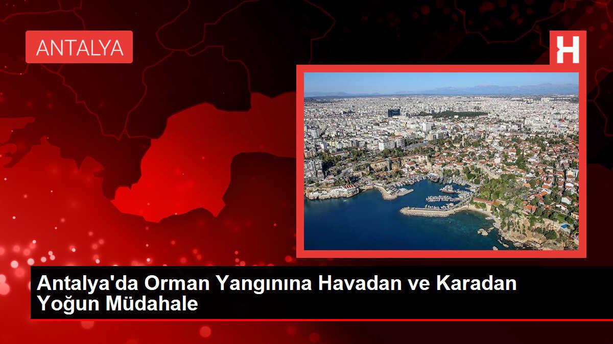 Antalya'da orman yangını