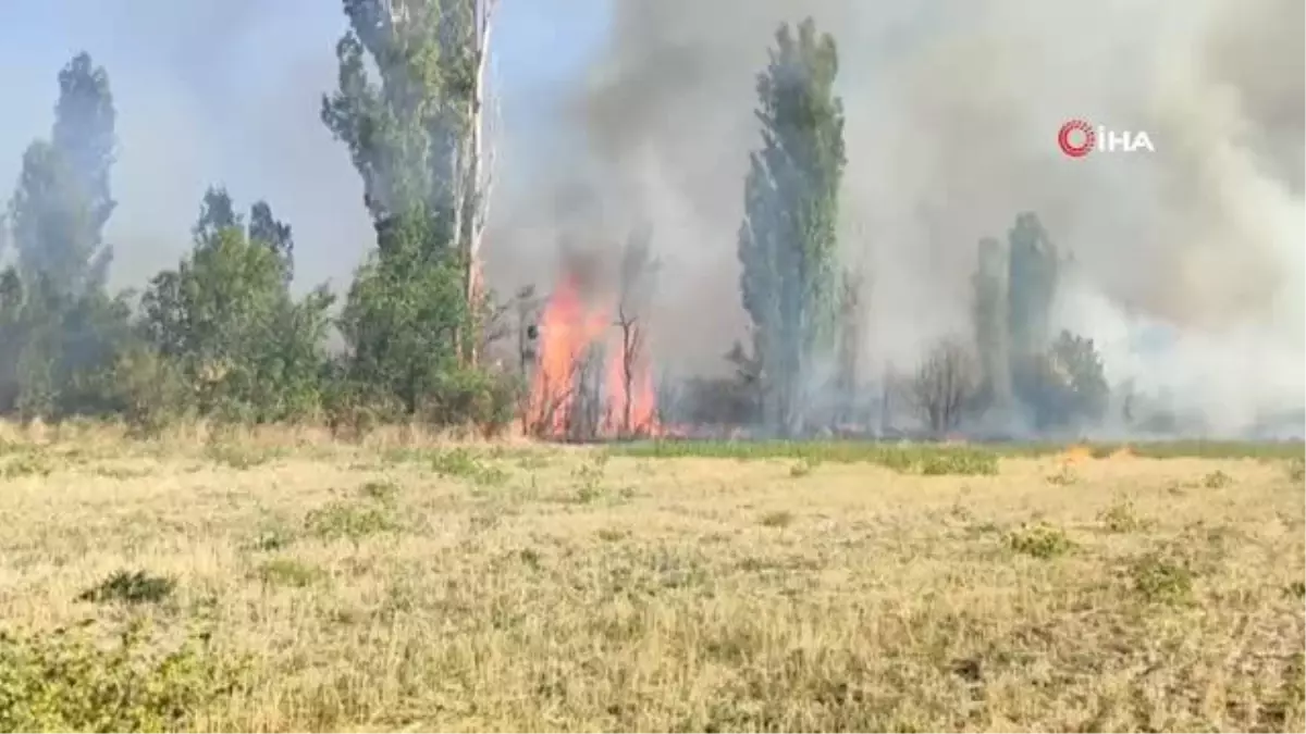 Çorum İskilip\'te Yangın: 50 Dönüm Alan Yanarak Kül Oldu