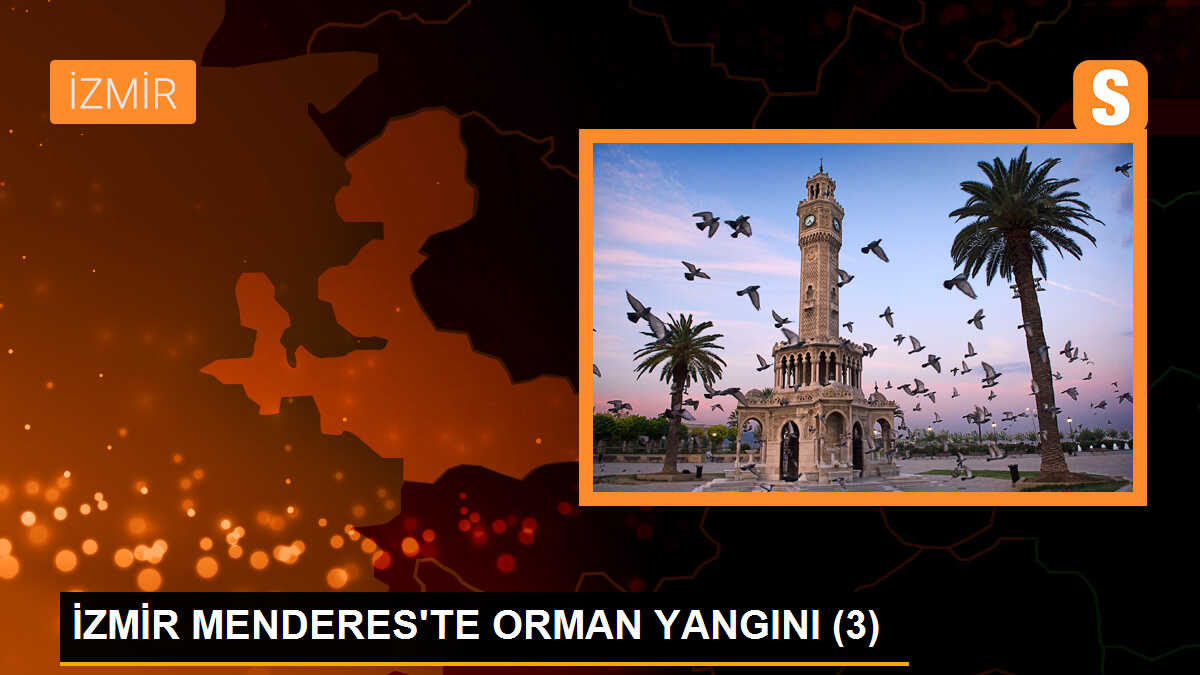 İzmir Menderes\'te orman yangını (3)