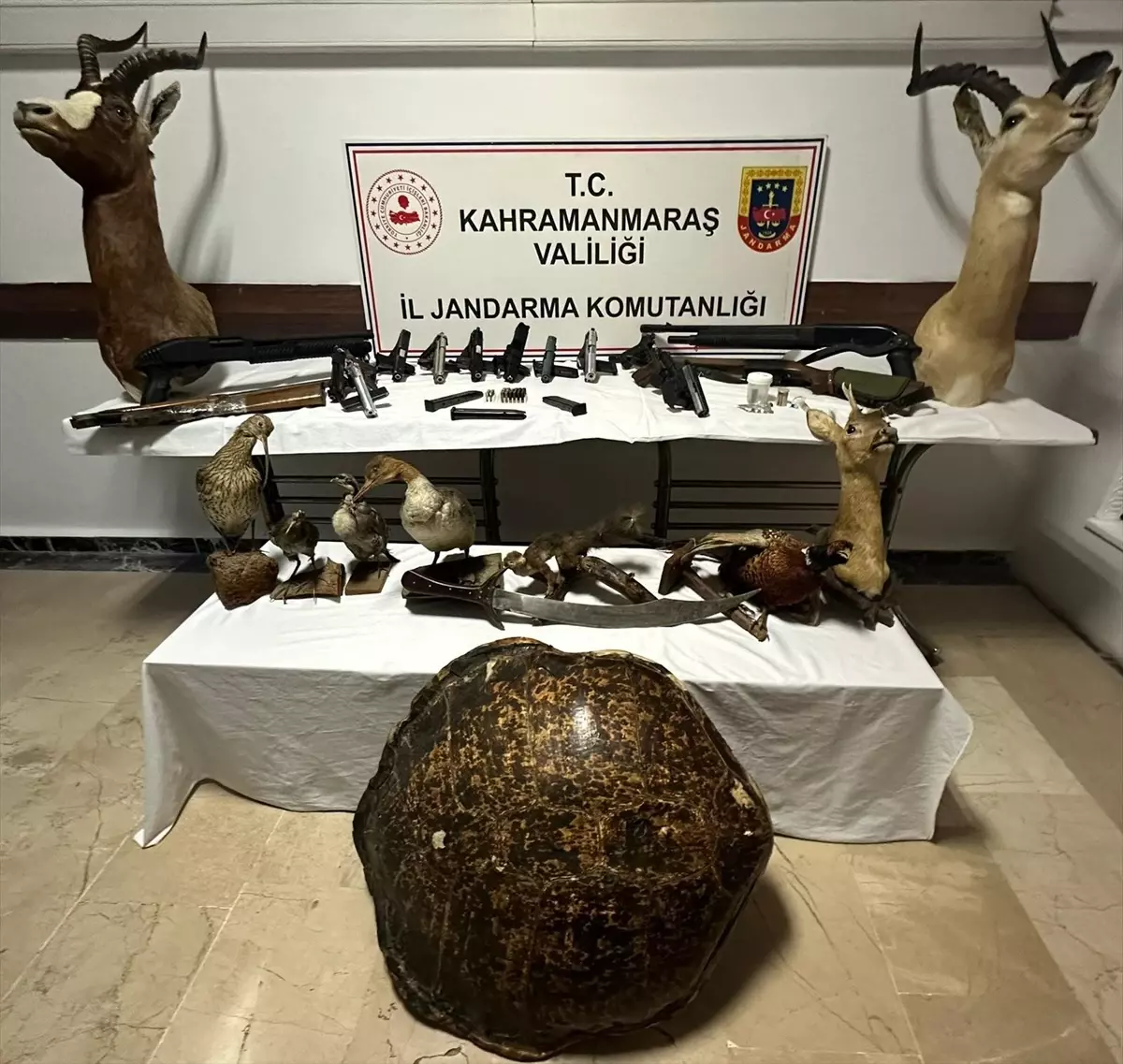 Kahramanmaraş\'ta Uyuşturucu, Silah ve Hayvan Tahnitleri Ele Geçirildi