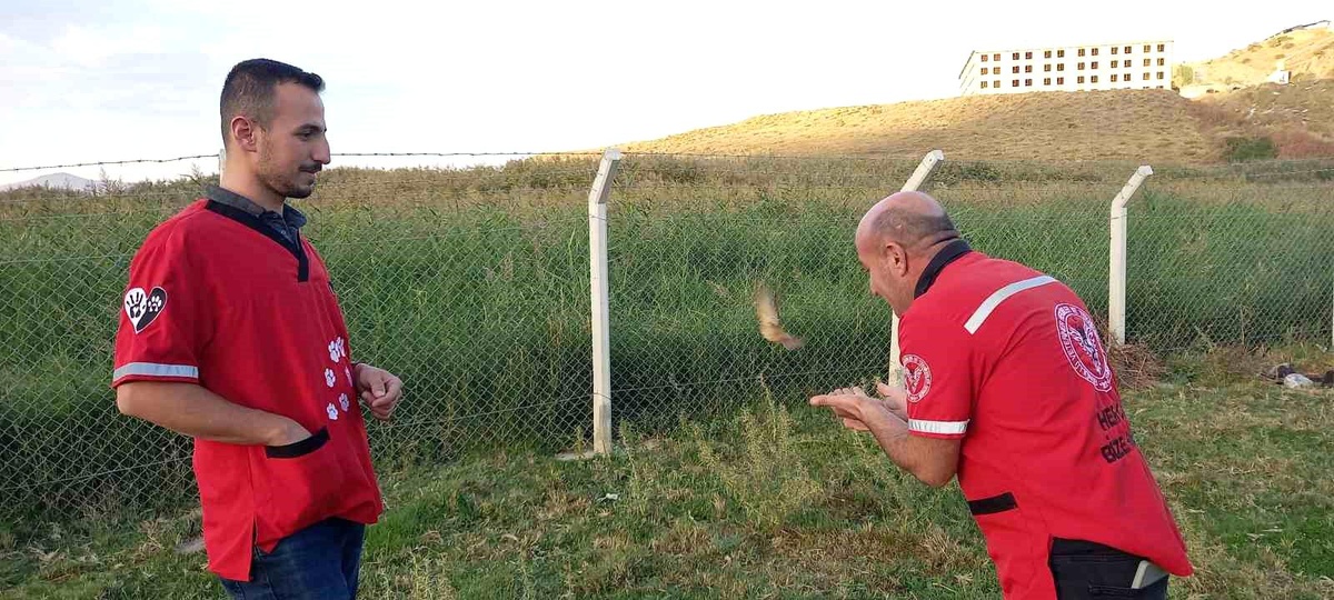 Minik Kuş, Kalp Masajıyla Hayata Döndü