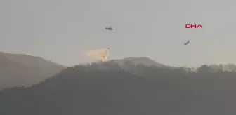 Alanya'da başlayan orman yangını kontrol altına alınamıyor