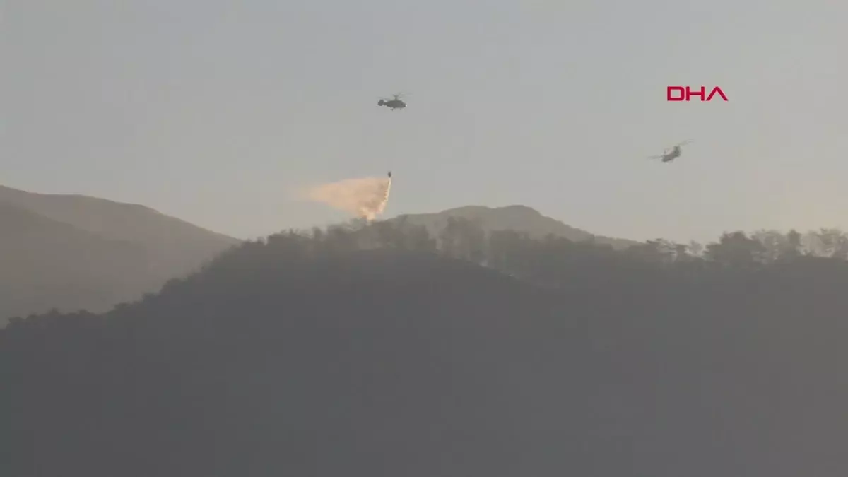 Alanya'da başlayan orman yangını kontrol altına alınamıyor