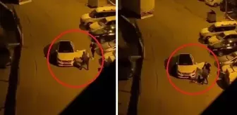 'Beni aldattı' dediği karısını sokak ortasında döverek bayılttı