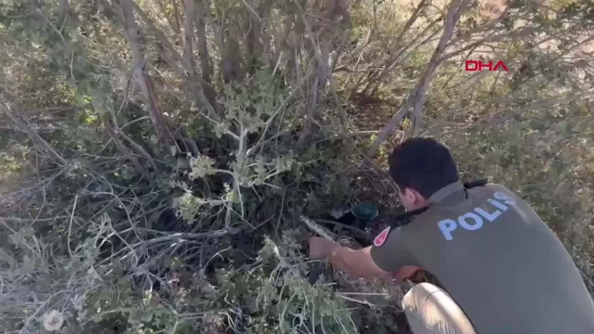 Mersin\'de Nesli Tükenme Tehlikesi Altındaki Bıldırcın Kuşu Kurtarıldı