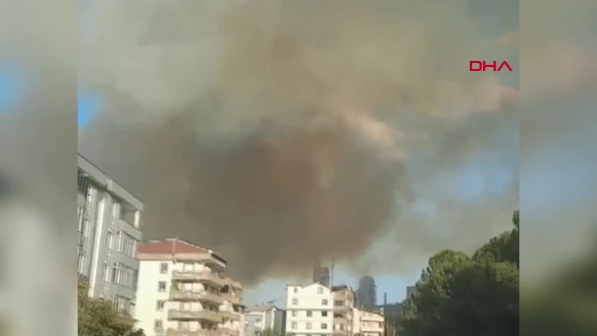 Bursa\'da Orman Yangını: 2 Helikopterle Müdahale Ediliyor