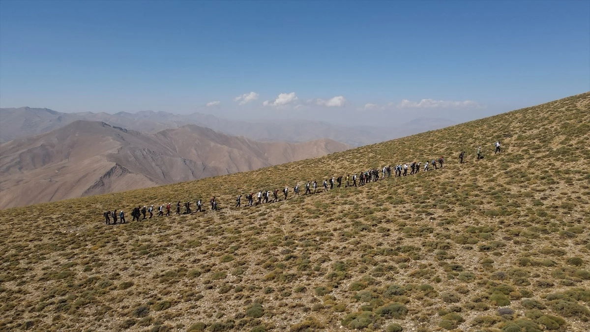 Van Gölü Aktivistleri Derneği Üyeleri Artos Dağı\'na Tırmandı