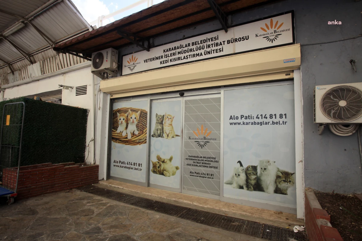 Karabağlar Belediyesi Üçyol Hayvan Sağlığı Merkezi\'nde Kısırlaştırma Çalışmalarına Devam Ediyor