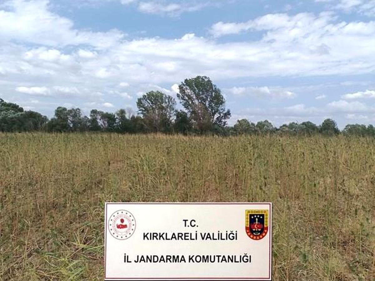 Kırklareli\'nde Kaçakçılık ve Uyuşturucu Operasyonunda 6 Şüpheli Gözaltına Alındı