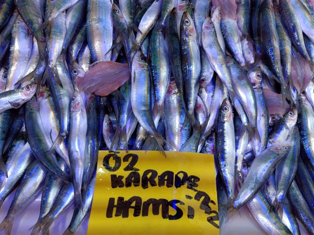 Afyonkarahisar\'da Balık Sezonu Açıldı, Fiyatlar 50-150 TL Arasında Değişiyor