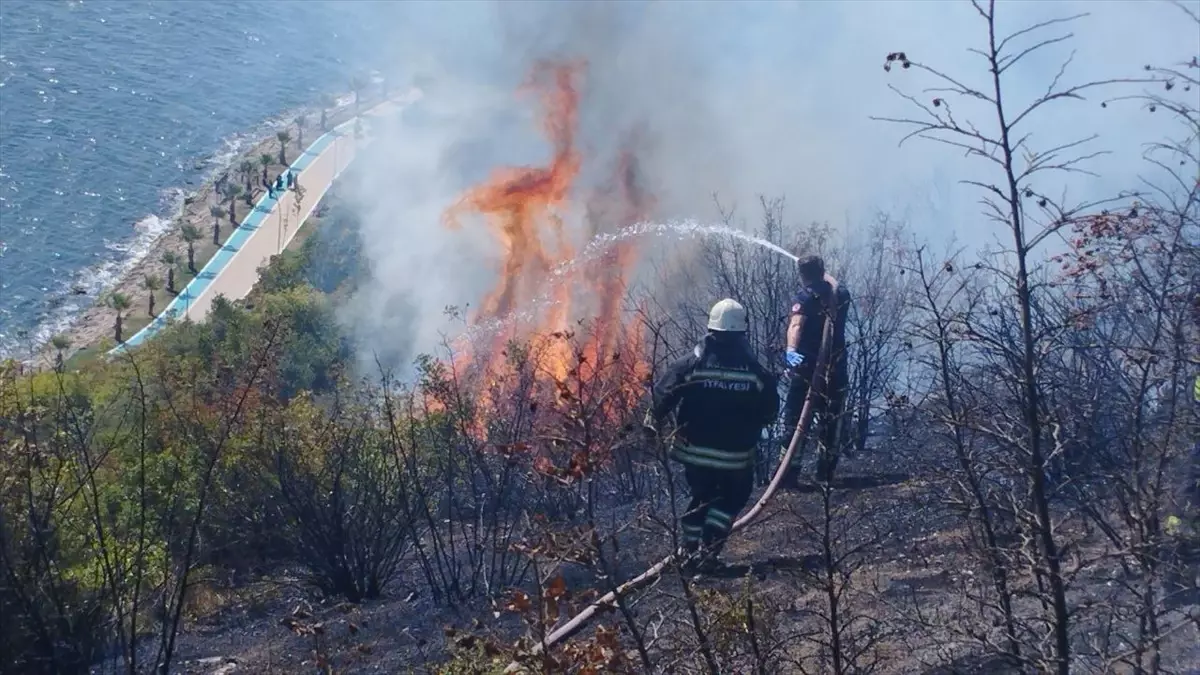 Kocaeli\'de makilik alanda çıkan yangına müdahale ediliyor