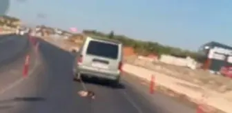 Gaziantep'te Köpeği Arabanın Arkasına Bağlayıp Sürükleyen Sürücü Kameralara Yansıdı