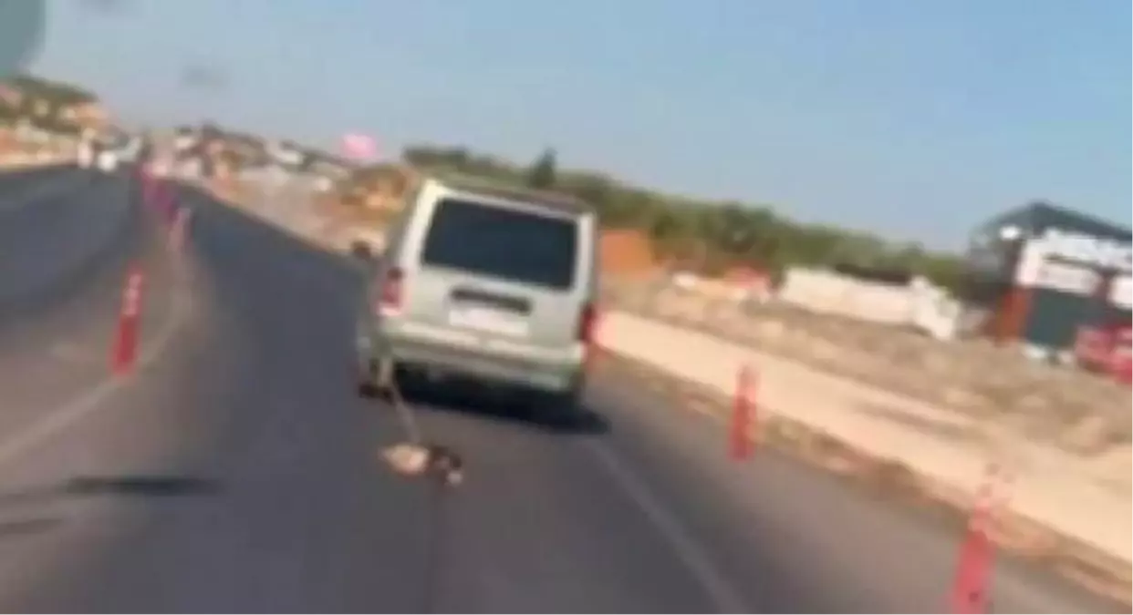Gaziantep'te Köpeği Arabanın Arkasına Bağlayıp Sürükleyen Sürücü Kameralara Yansıdı