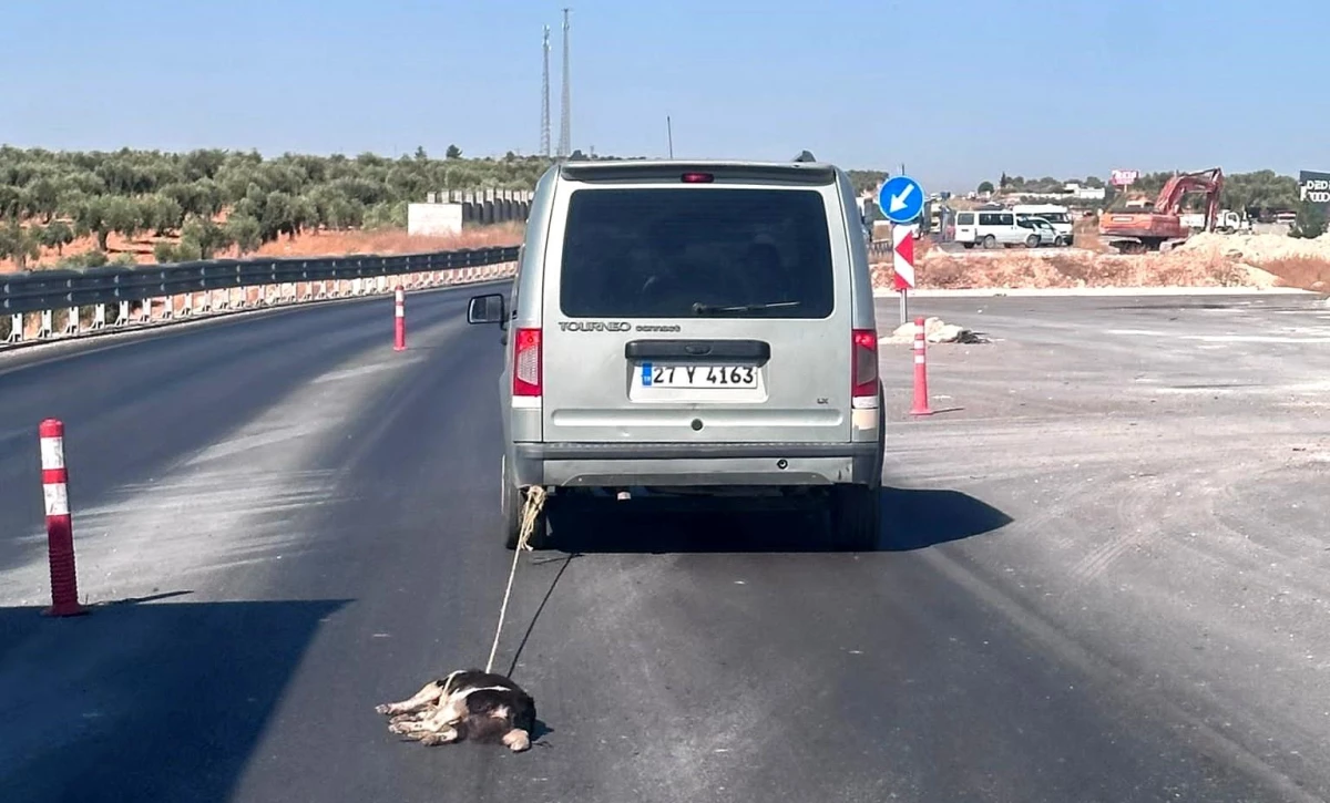 Gaziantep\'te Köpeği Sürükleyen Şahıs Yakalandı