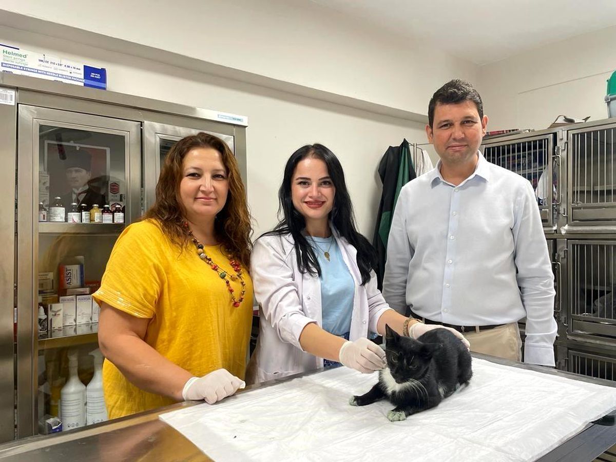 Manisa Büyükşehir Belediyesi Minik Patiler Kliniği\'nde 2 Bin 253 Kedinin Tedavisi Gerçekleştirildi