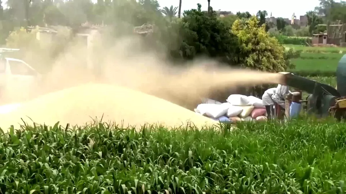Mısır Çevre Bakanı, Çin ile Çevre ve İklim Teknolojileri İşbirliği İstiyor