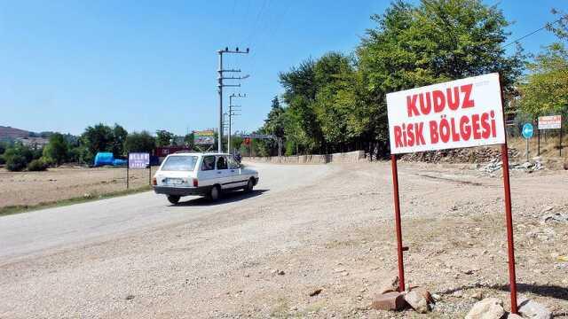 Türkiye kuduz için 'en riskli ülkeler' kategorisine alındı