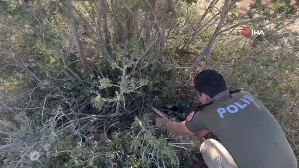 Polis, tuzağa takılan nesli tükenmekte olan kılavuz bıldırcınıyı kurtardı