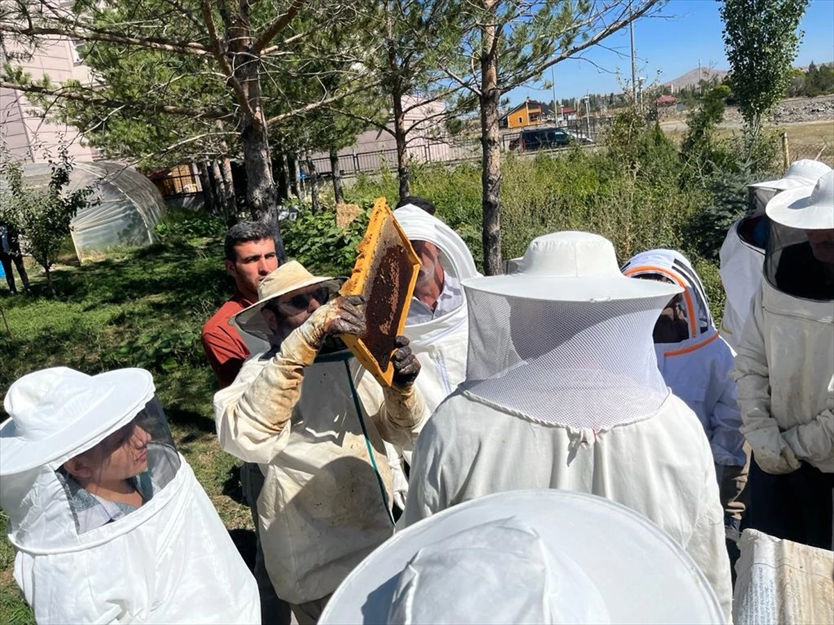 Sivas Ulaş\'ta Arı Yetiştiriciliği Kursu Açıldı