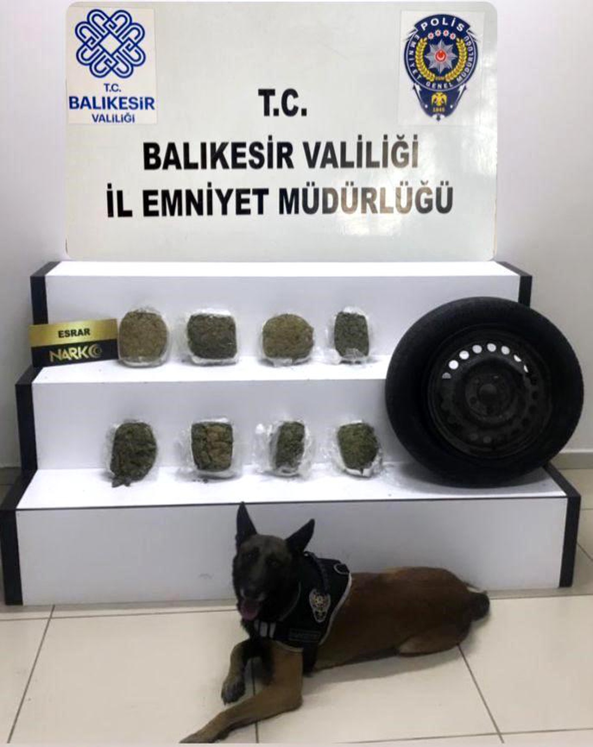 Edremit\'te Polis Köpeği Cash\'in Yardımıyla 2 Kilogram 978 Gram Esrar Ele Geçirildi