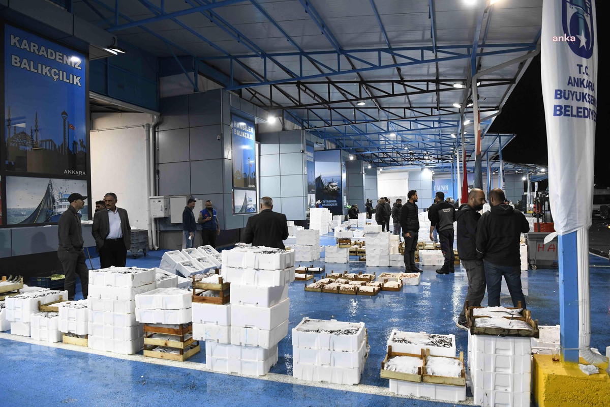 Ankara Büyükşehir Belediyesi Balık Hali\'nde Hijyen Denetimlerine Başladı