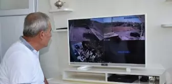 Batman'da Fıstık Hırsızlığı Artıyor: Üreticiler Güvenlik Önlemlerini Artırdı