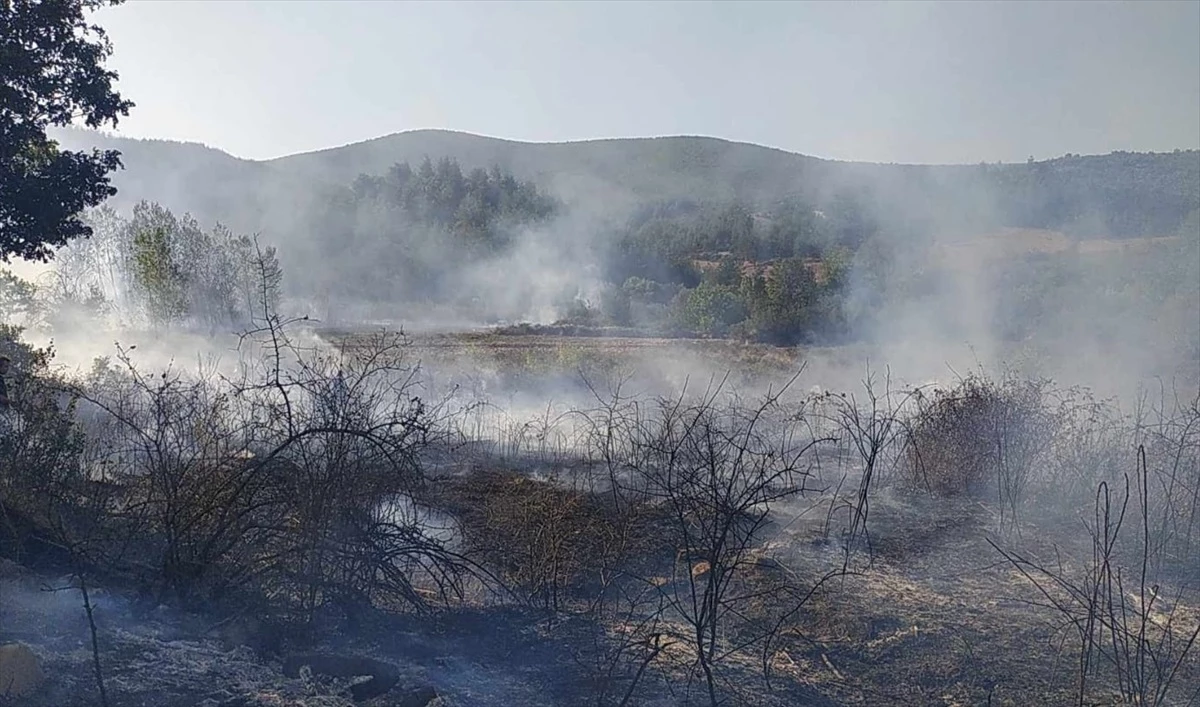 Bursa\'da Tarım Arazisinde Çıkan Yangın Kontrol Altına Alındı