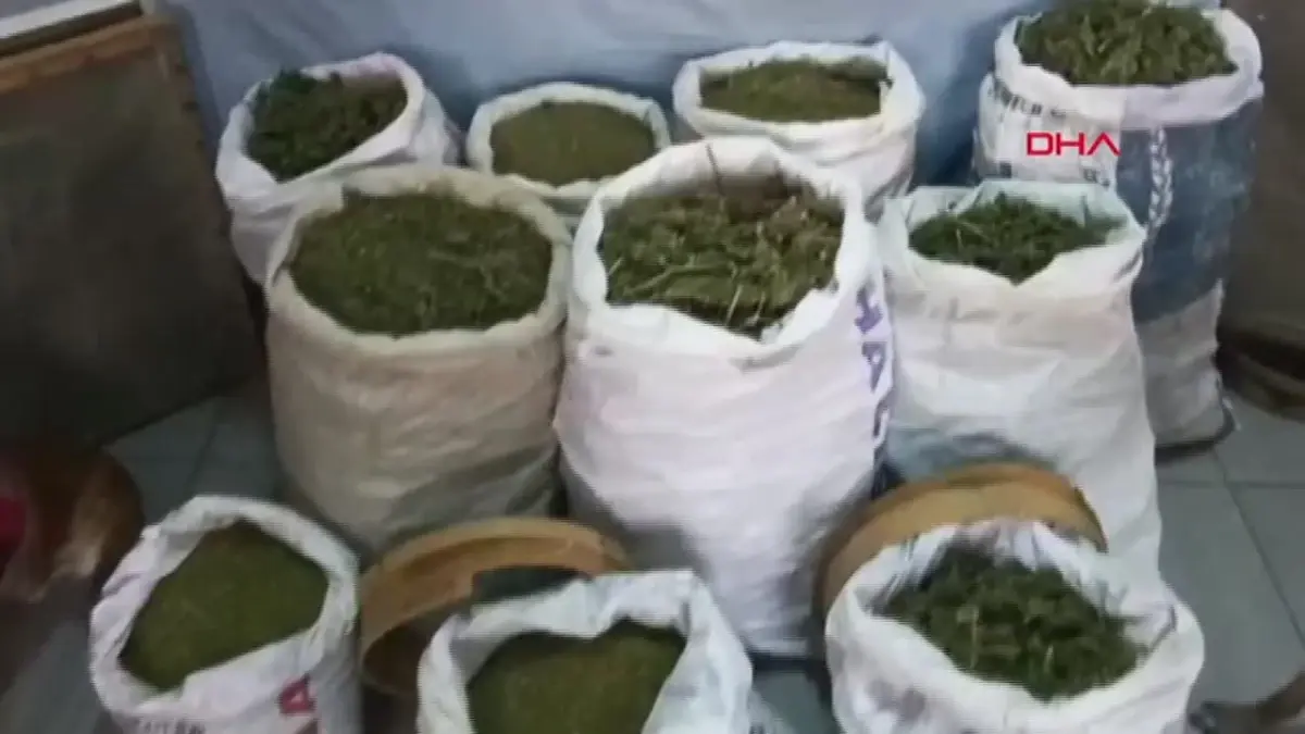Elazığ ve Diyarbakır\'da Uyuşturucu Operasyonu: 241 Kilo Esrar ve 1230 Kök Hint Keneviri Ele Geçirildi