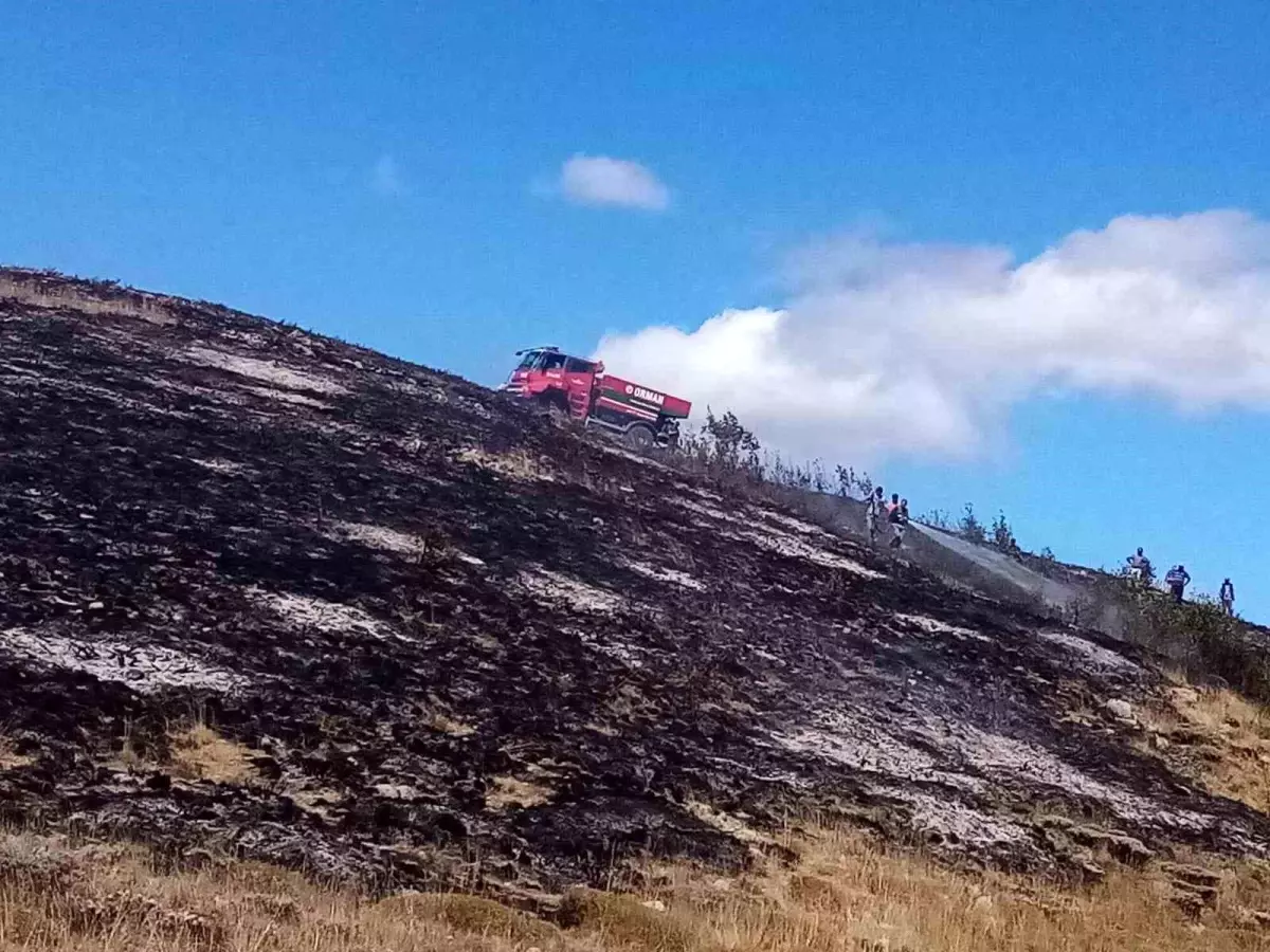 Gümüşhane\'de Çıkan Örtü Yangınında Ormana Sıçramadan Söndürüldü