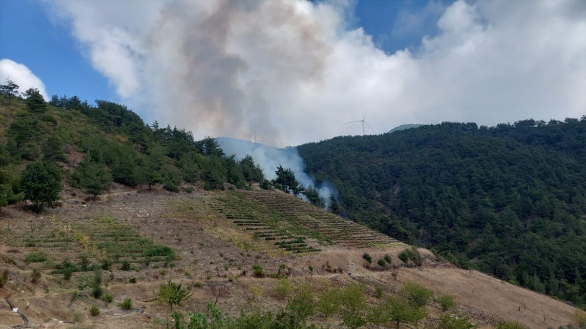 Hatay\'ın Belen ilçesinde çıkan orman yangını kontrol altına alındı
