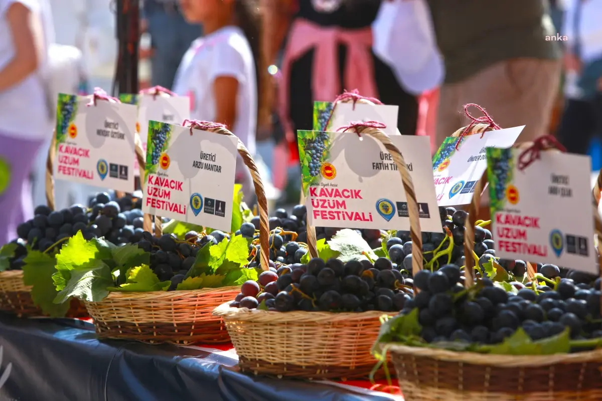 Karabağlar Belediyesi 11. Kavacık Üzüm Festivali\'ni Düzenliyor