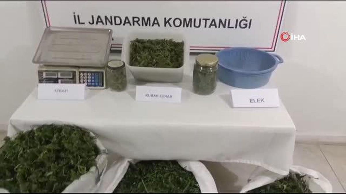 Kırklareli\'nde adrese düzenlenen operasyonda 22 kilogram esrar çıktı