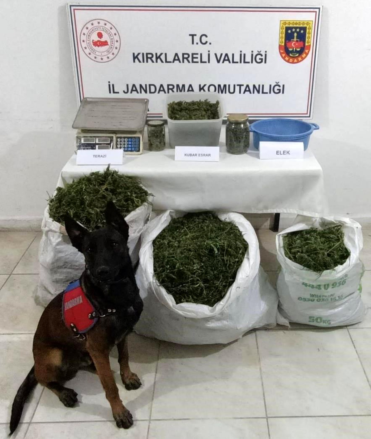Kırklareli\'nde 22 Kilogram Esrar Ele Geçirildi