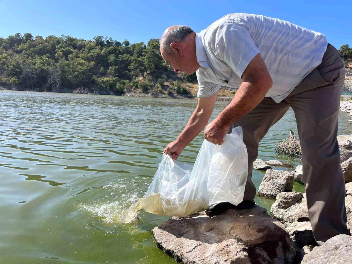 Manisa Büyükşehir Belediyesi, Maldan ve İlyasçılar Mahallesi\'ndeki göletlere 30 bin yavru sazan bıraktı
