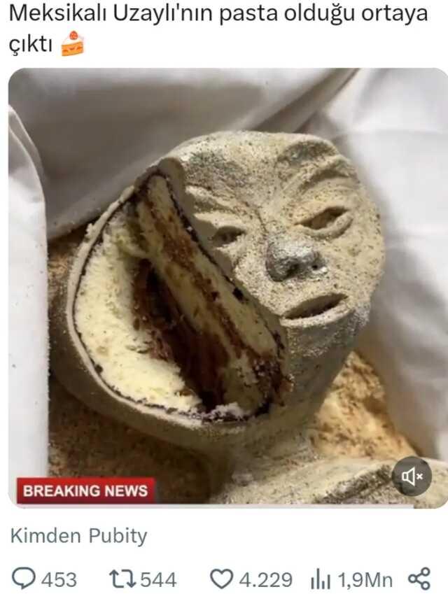 Meksika'daki uzaylı fosillerinin gerçekte kek olduğu iddiası