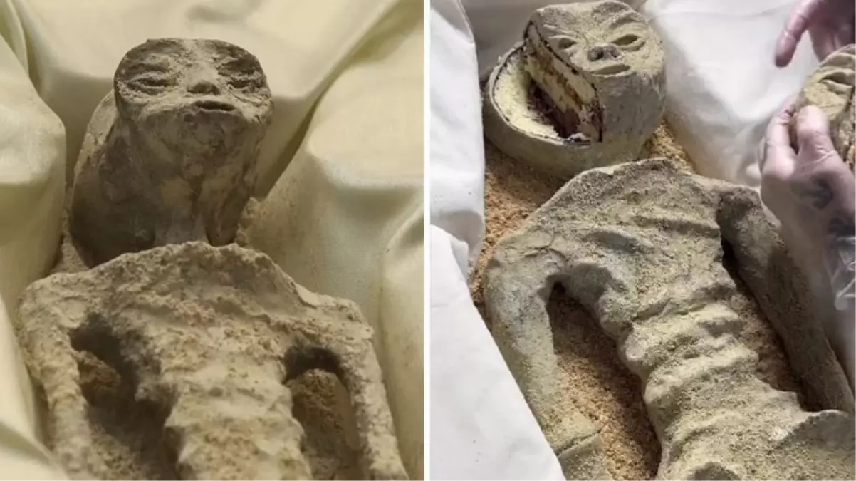 Meksika\'daki uzaylı fosillerinin gerçekte kek olduğu iddiası