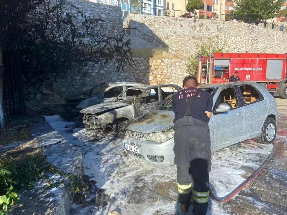 Muğla\'da park halindeki üç araç yanarak kullanılmaz hale geldi