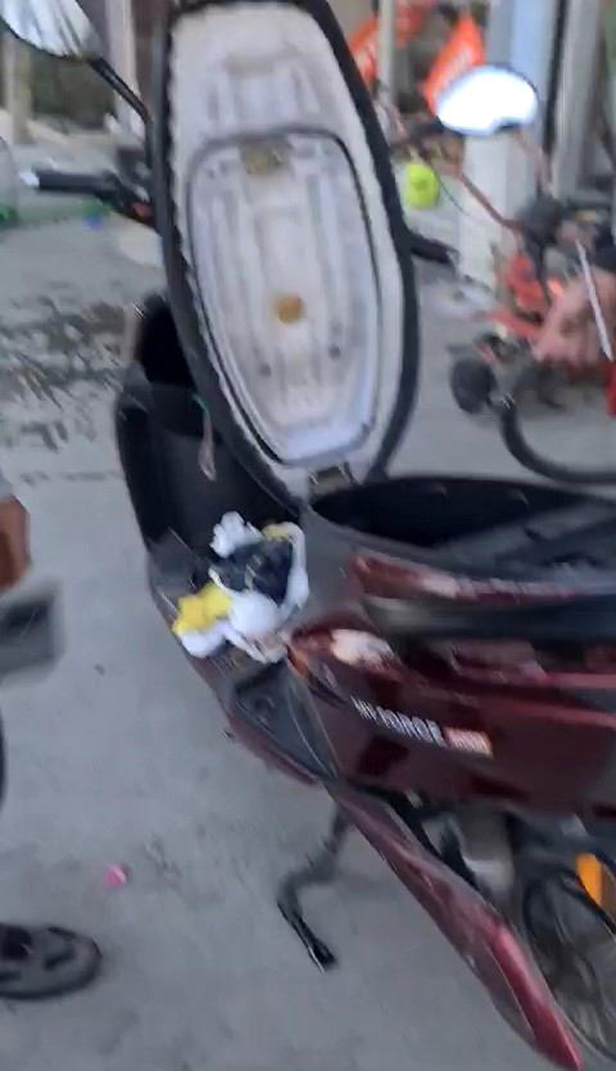 Arnavutköy\'de Motosikletin İçinden Yavru Kedi Çıktı