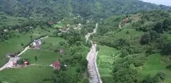 Arhavi'de Kuduz Köpek Nedeniyle 3 Köy Karantinaya Alındı