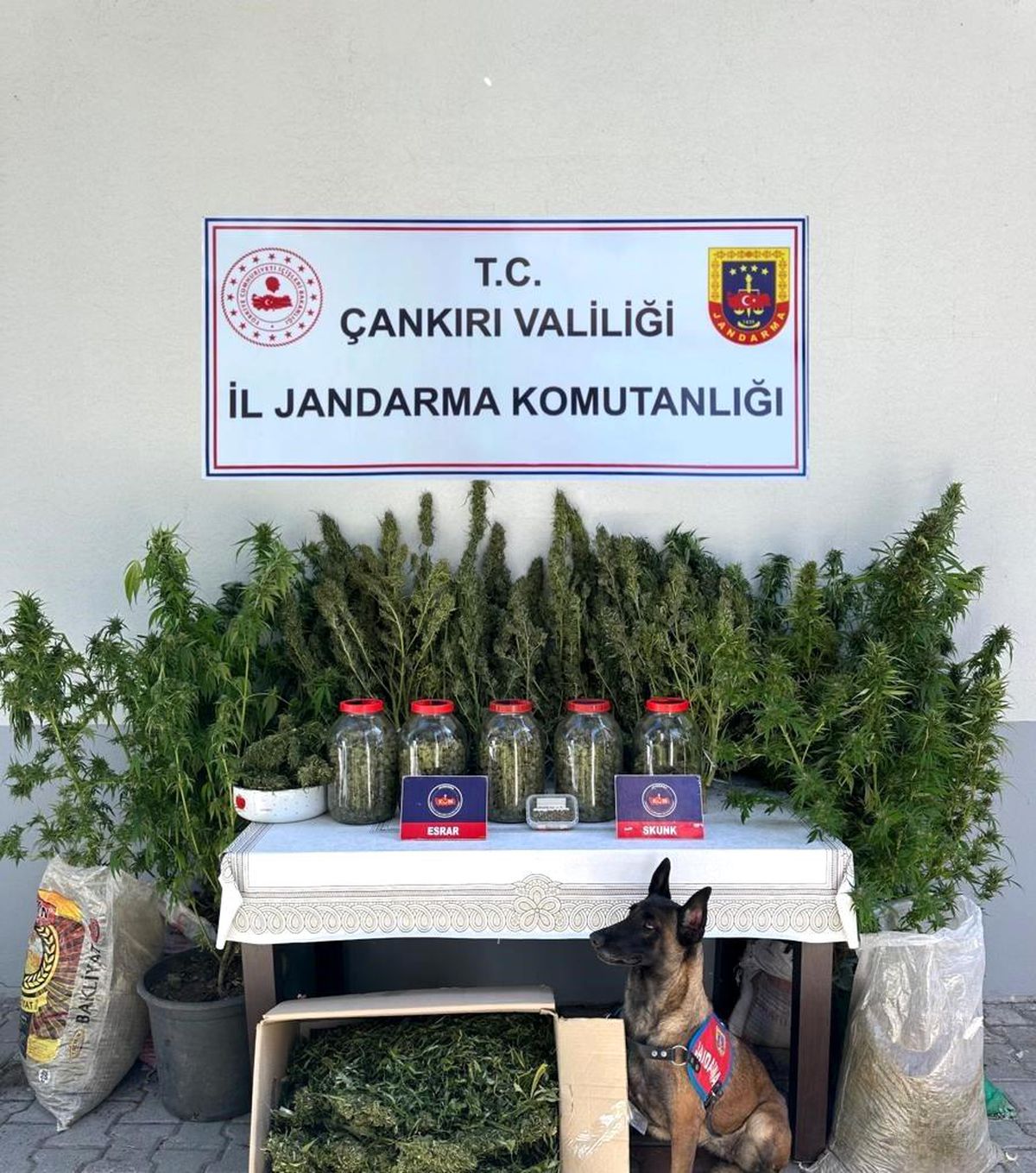 Çankırı\'da Uyuşturucu Operasyonu: Şahıs Gözaltına Alındı